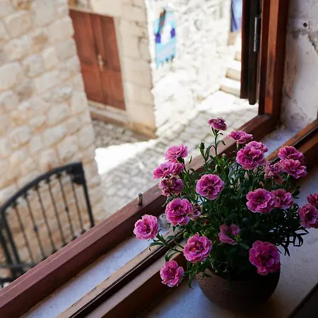 Couette-café Tomy - Katy Trogir